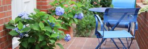 Small Yard Remodeling Contractor Connection