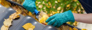Cleaning Gutters